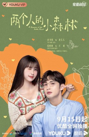 Дорама Роман маленького леса онлайн